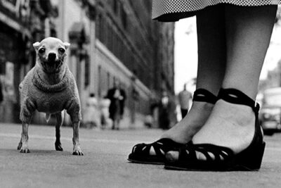 Elliott Erwitt. Vintages
