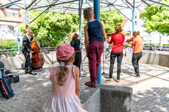 Stuttgarter Kammerorchester - Fest am Neckar