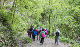 Holzwerkstatt: Holunderpfeife
