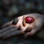 Assembling Grounds. Praktiken der Koexistenz