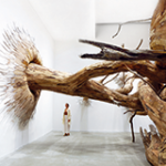 Ausstellung ANATOMY OF PRESENCE